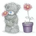 Вікуся Солодовська фотография #7 (источник - https://vk.com/id89690913)