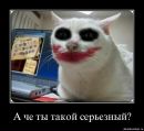 Фотография Смолиной Натальи