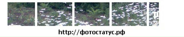 Вікторія Кузка фотография #25 (источник - https://vk.com/id134995571)