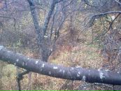 Іван Коваль фотография #6 (источник - https://vk.com/id50934328)