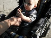 Фотография Fox Tatiana