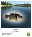 Віталій Пастрама фотография #18 (источник - https://vk.com/id34071171)