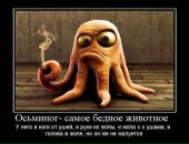 Дмитрий Сидоров фотография #32 (источник - https://vk.com/id2388749)