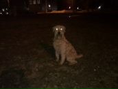 Фотография Мотрошиловой Оли