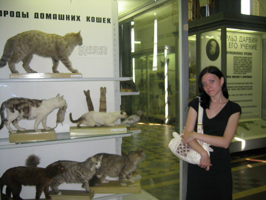 Аня Строколис фотография #20