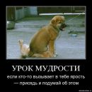 Катюша Ониськів фотография #8 (источник - https://vk.com/id79554729)