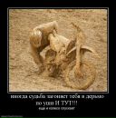 Фотография Сорокиной Анастасии