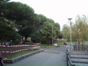 Дмитрий Алексеев фотография #21 (источник - https://vk.com/id2024968)