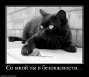 Ігор Протоцький фотография #44 (источник - https://vk.com/id64634890)