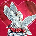 Наталя Іксанова фотография #35 (источник - https://vk.com/id57041023)