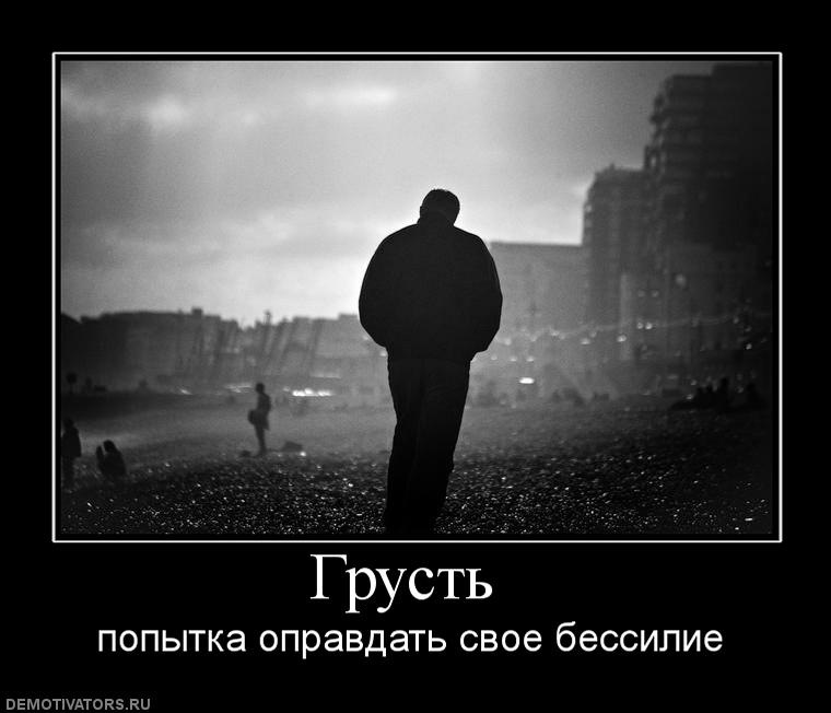 Пума Пума фотография #22