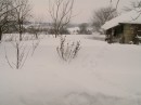 Міша Теслюк фотография #5 (источник - https://vk.com/id64755056)