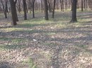 Станіслав Куделя фотография #25 (источник - https://vk.com/id123290561)