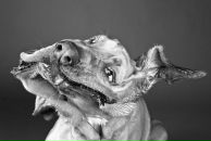 Фотография Барановой Иванны