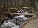 Андрій Ступень фотография #23 (источник - https://vk.com/id26232548)