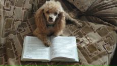 Фотография Леник Дарьи