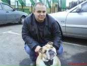 Фотография Волкова Bulldog