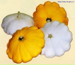 Фотография Гудь Анастасии