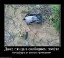 Сергій Бахін фотография #35 (источник - https://vk.com/id61228979)