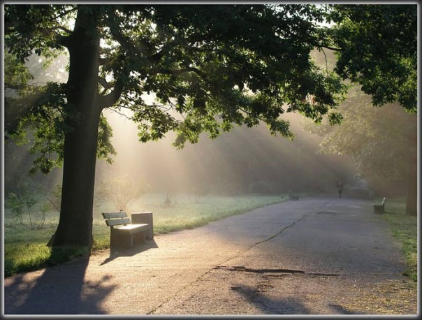 Мария Степанова фото №1