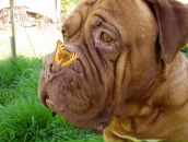 Фотография Мироновой Марины